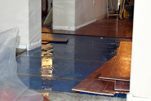 Professional Burst Pipe Cleanup technician working in Carolina, RI